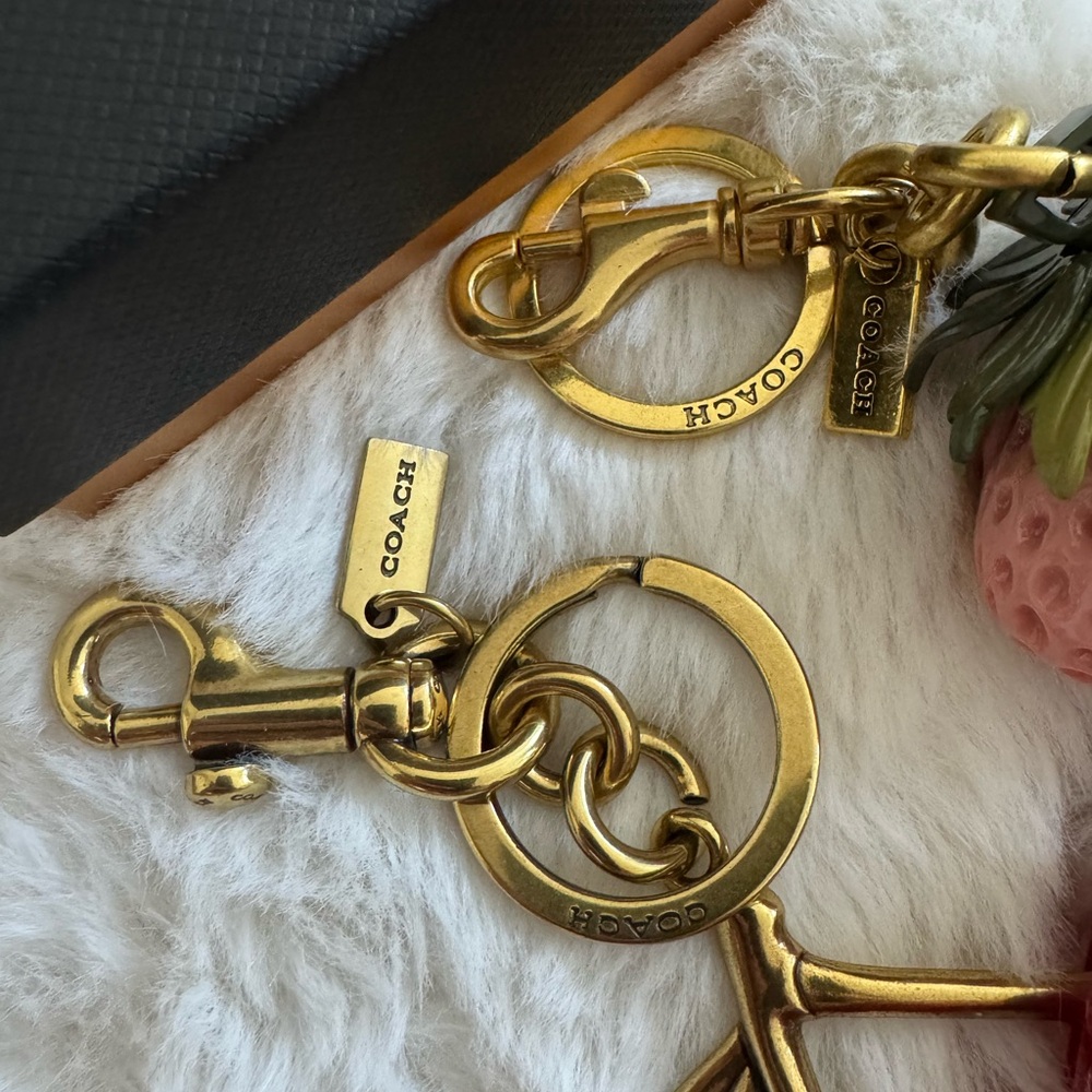 Coach Pink Strawberry and Red Cherry Keychain Bundle - Picture 3 of 5